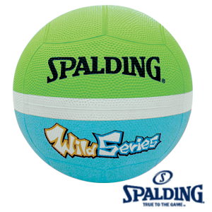 斯伯丁Spalding  躲避球系列  SPB83002 Wild 12片軟躲 淺綠/藍色  / 個